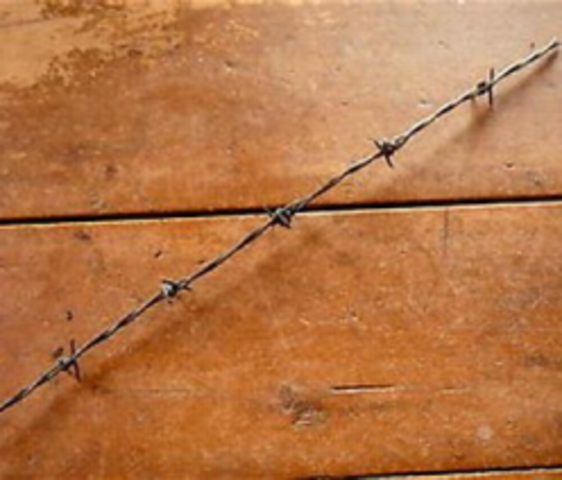 Barbed wire