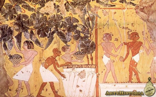 Inicio de la etapa de inspección.