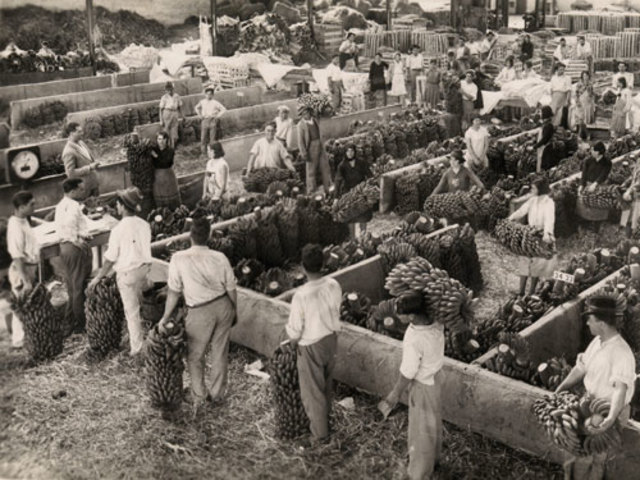 La agricultura canaria