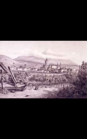 La sociedad en Canarias