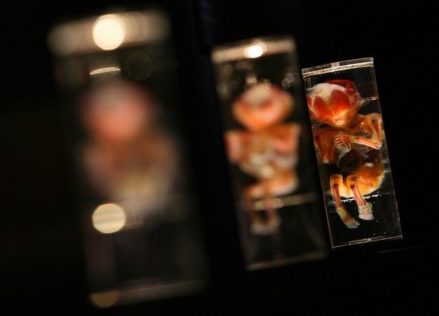 HE JIANKU DICE HABER CREADO BEBÉS INMUNES AL VIH