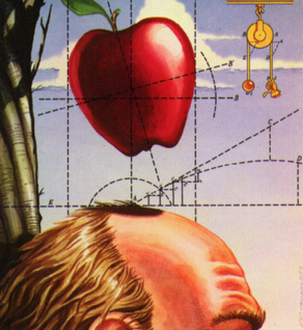 Dascobriment de la llei de la gravetat per part de Newton