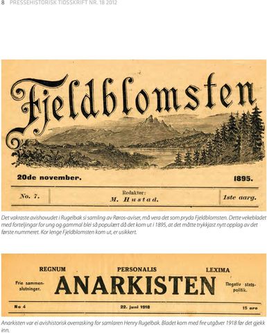 Lokalavisane auka i Røros