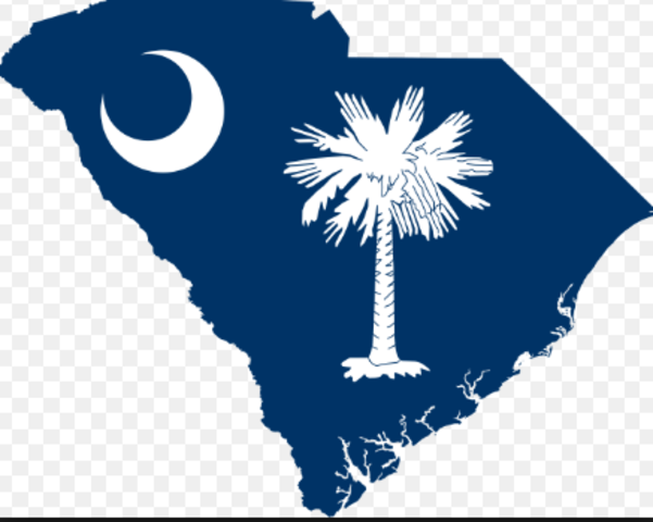 when South Carolina became a colony
