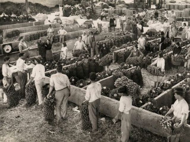 Agricultura en canarias 2