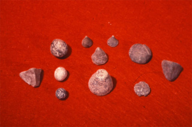 Clay Tokens Used in Mesopotamia