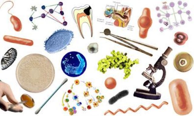 Enfermedades infecciosas