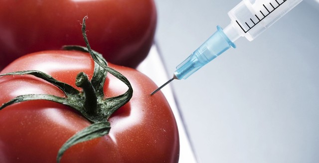 Ingeniería Genética