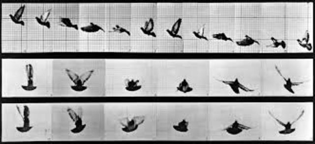 Eadweard Muybridge