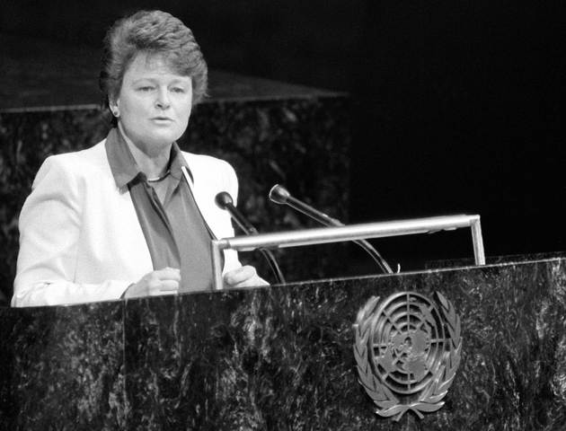 Informe Brudtland