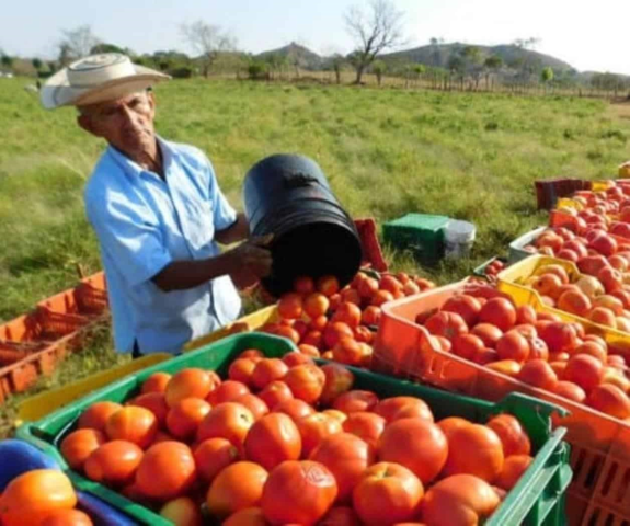 Los principales actividades fueron los agricultores y el comercio superior