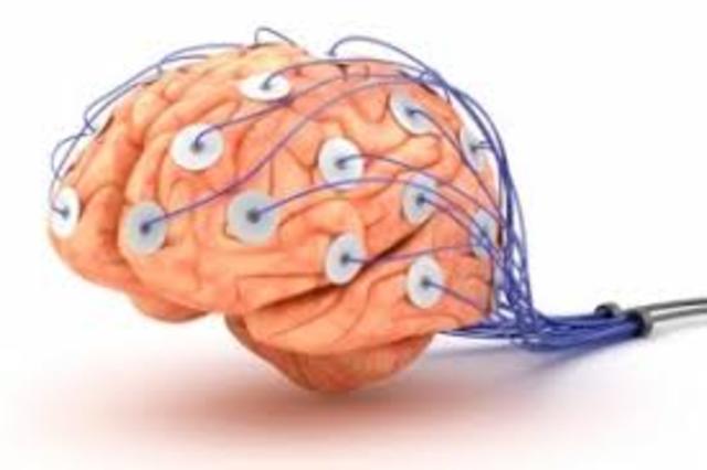 SIGLO XIX. Se establecen las bases de la moderna neurofisiologia