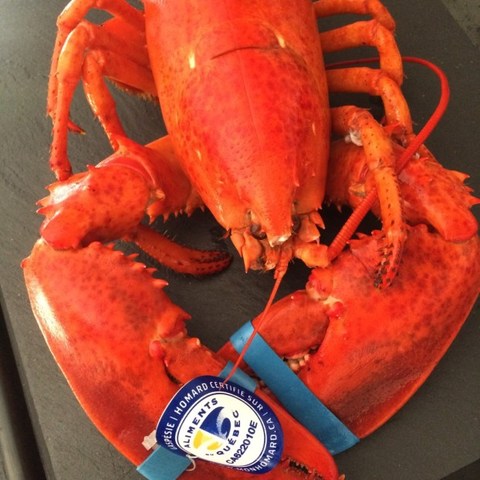 Le homard en deuxième place.