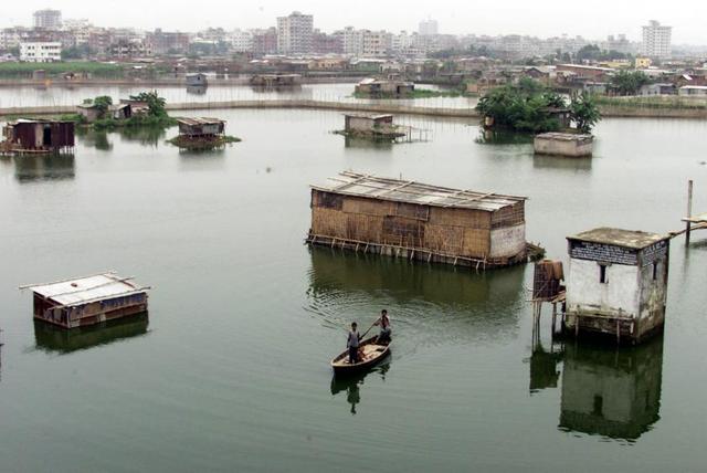 Prohibición de las bolsas