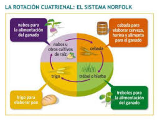 La revolució agrícola