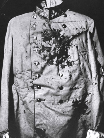 Assassination in Bosnia