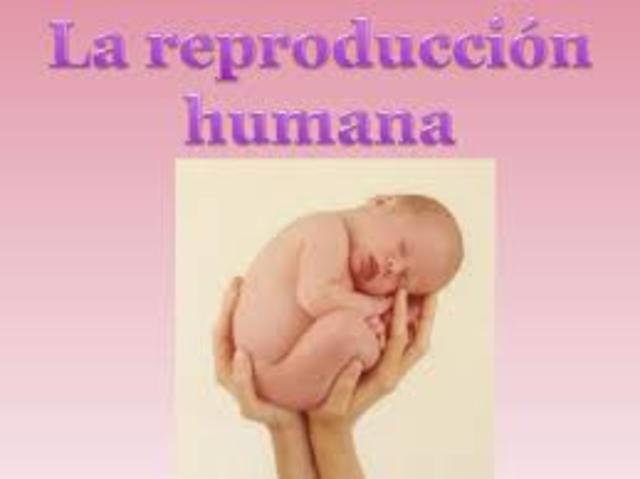 Que es la reproducion humana