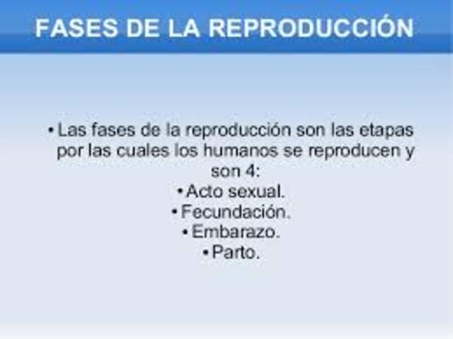 Faces de la reproduccion