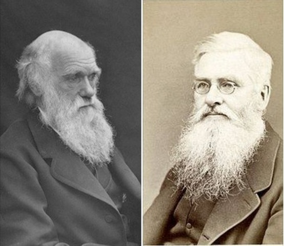 La selección natural