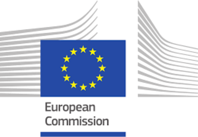 European Council resolution