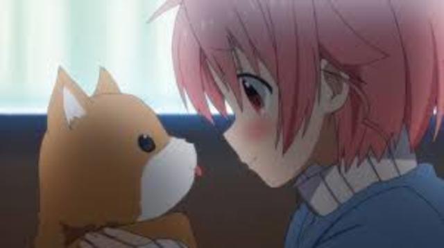 Accident With My Pet