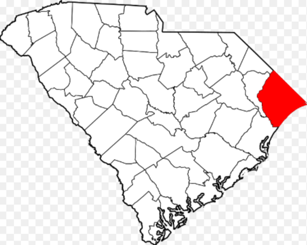 when south carolina beacme a colony