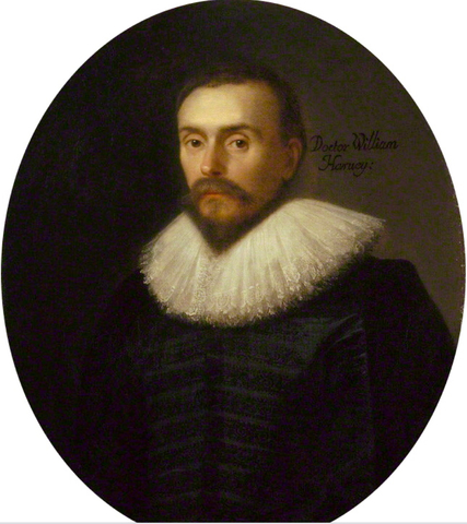 Circulacio de la sang