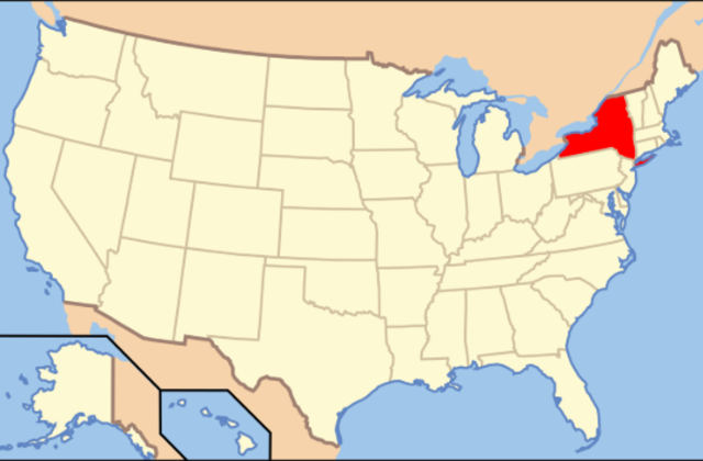 Peter Minuit started the colony New York