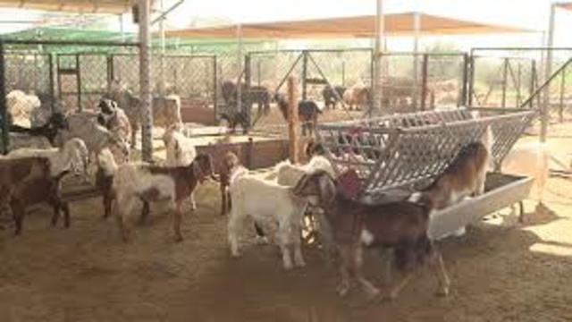 1860 cities rose as a population