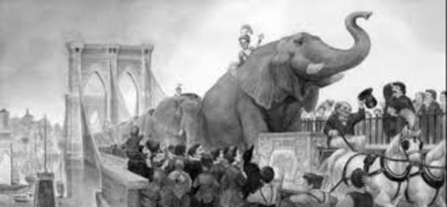 ELAPHANTS ON THE BROOKLYN BRIDGE!