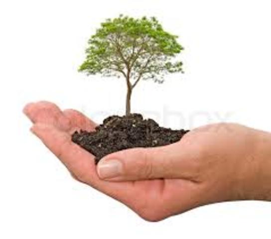 Solución 1 Hand Tree.