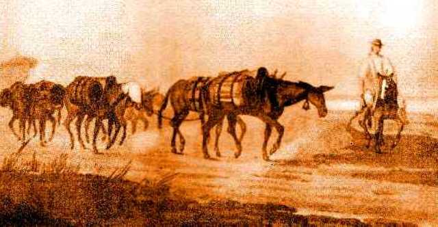 Los medios de transporte