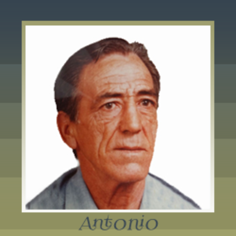 Antonio A A