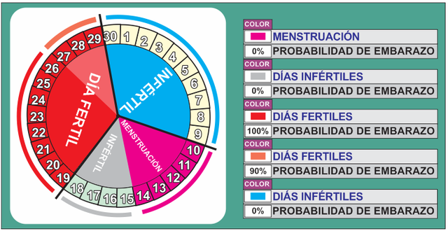 DÍA 2 CICLO FÉRTIL FEMENINO