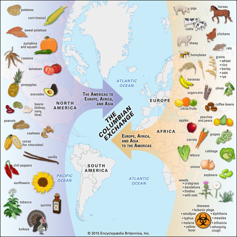 Columbian Exchange