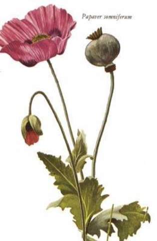 Civilizaciones antiguas: Sumeria