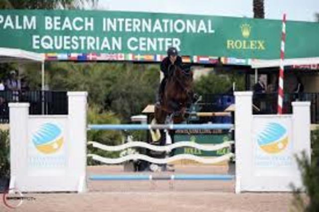 The Most Popular Horse show