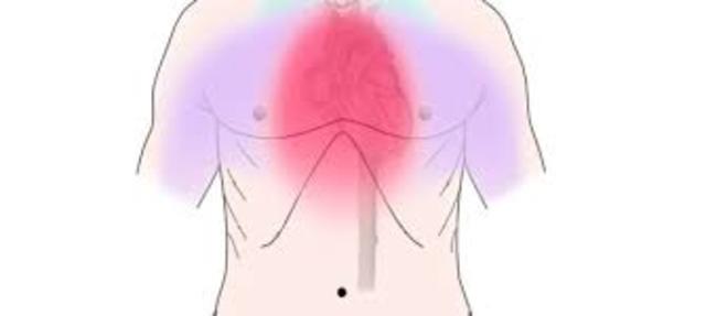 Edad Media y Renacimiento: El arquitecto inglés Christopher Wren y Daniel J. Mayor