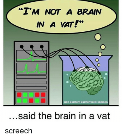 Brain in a Vat