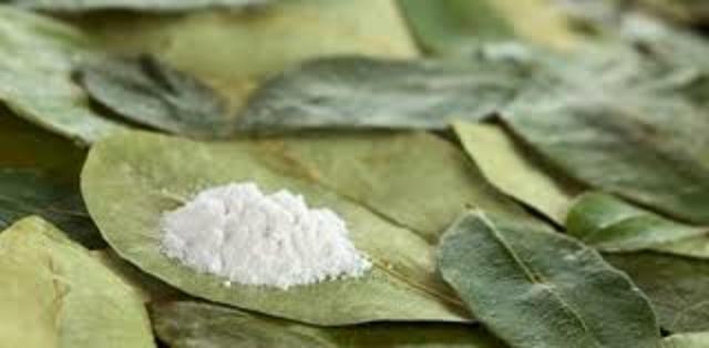 A finales de siglo XIX: Nuevas vías de administración