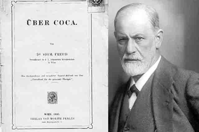 Siglo XIX: El despertar de la coca