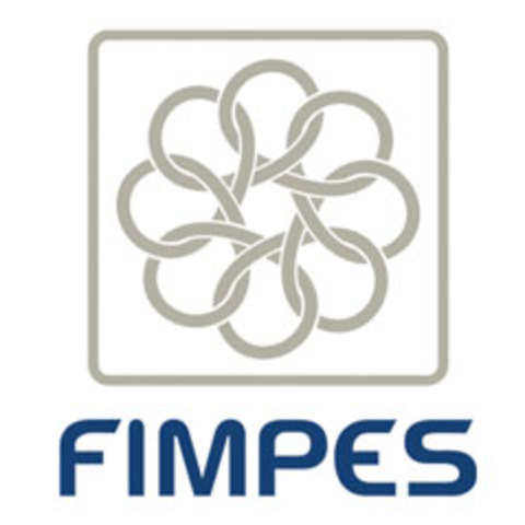 SEGUNDA VERSIÓN DE CRITERIOS DE LA (FIMPES)