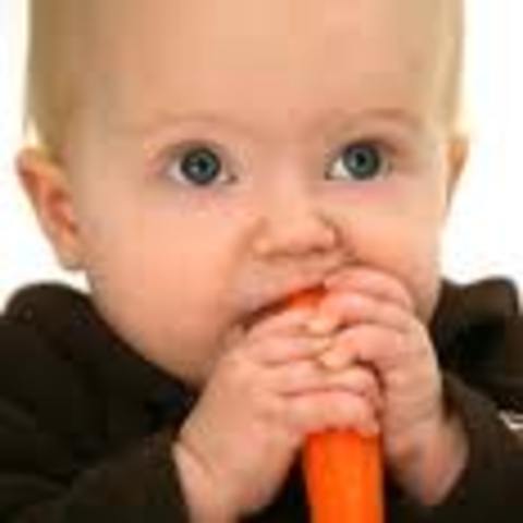 13-18 months physical