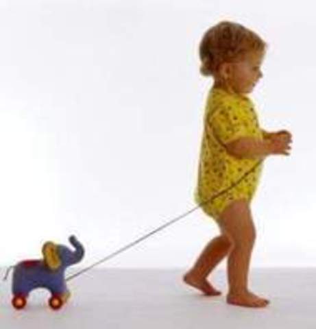 12-18 Months Intellectual