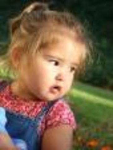 19-24 month cognitive development