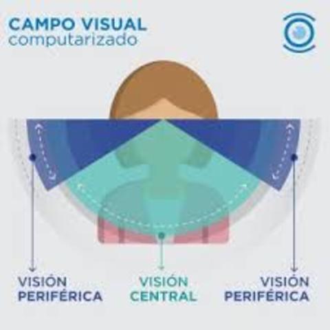 CAMPO VISUAL