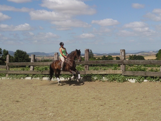 Amazona gisa hobetzen