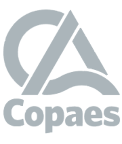 COPAES