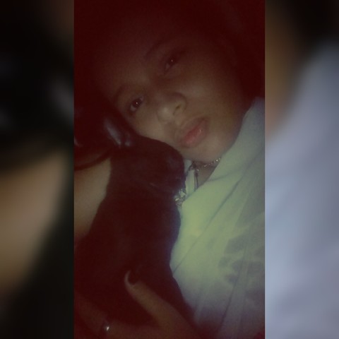 And that stray cat, has a different life.