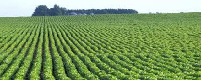 Changes in Agriculture